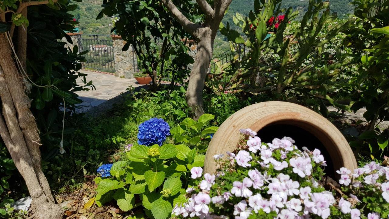 Hotel Borgo San Francesco Gioiosa Marea Zewnętrze zdjęcie