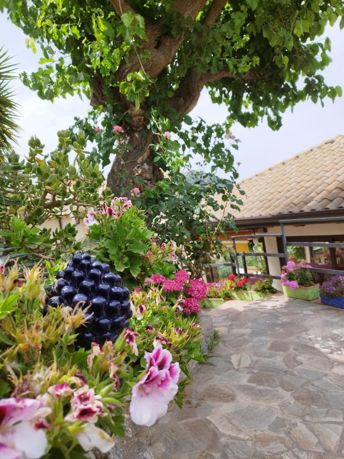 Hotel Borgo San Francesco Gioiosa Marea Zewnętrze zdjęcie
